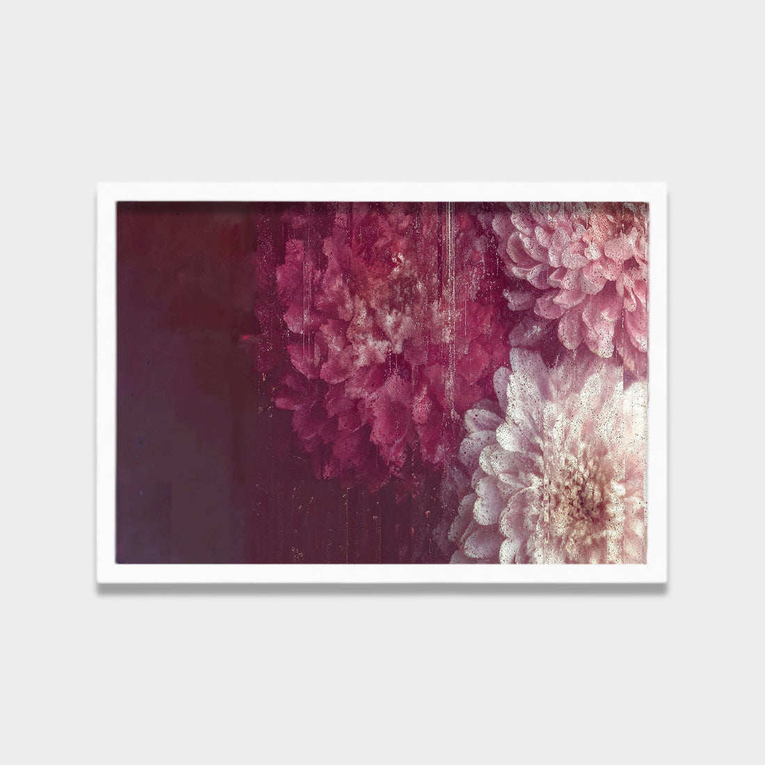 Blushed Bloom botanical & floral canvas wall art by Anantkala