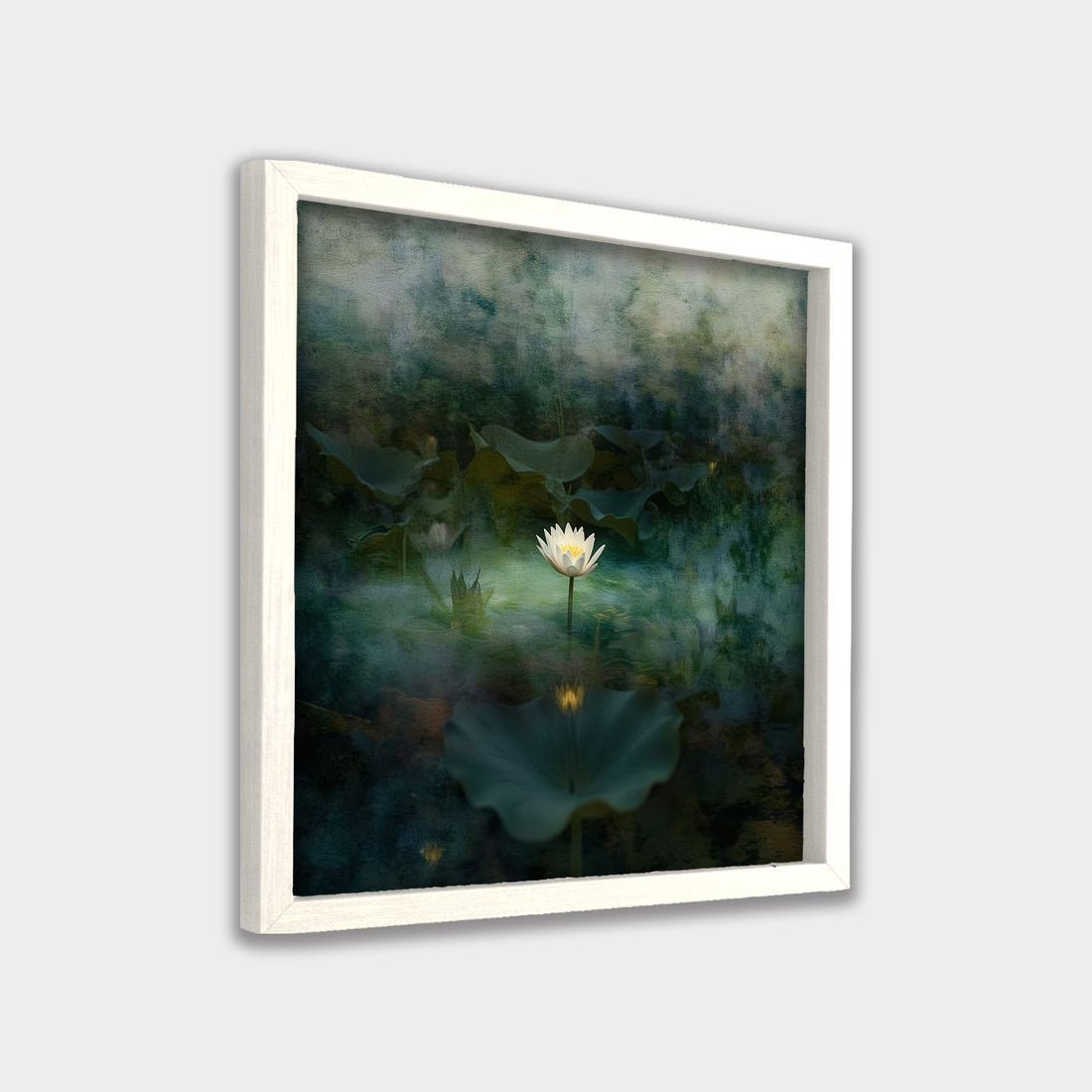 Still Bloom