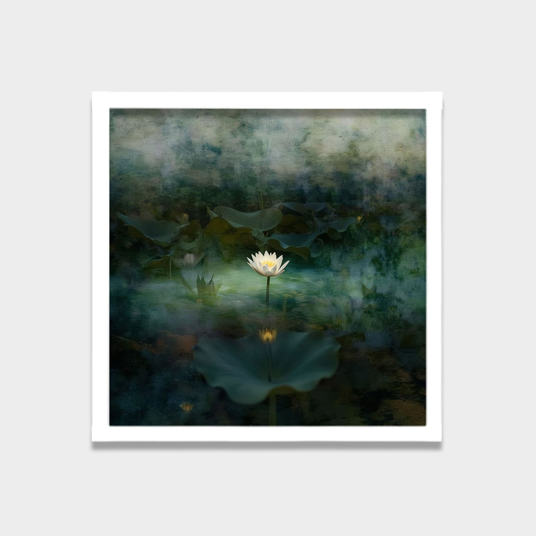 Still Bloom