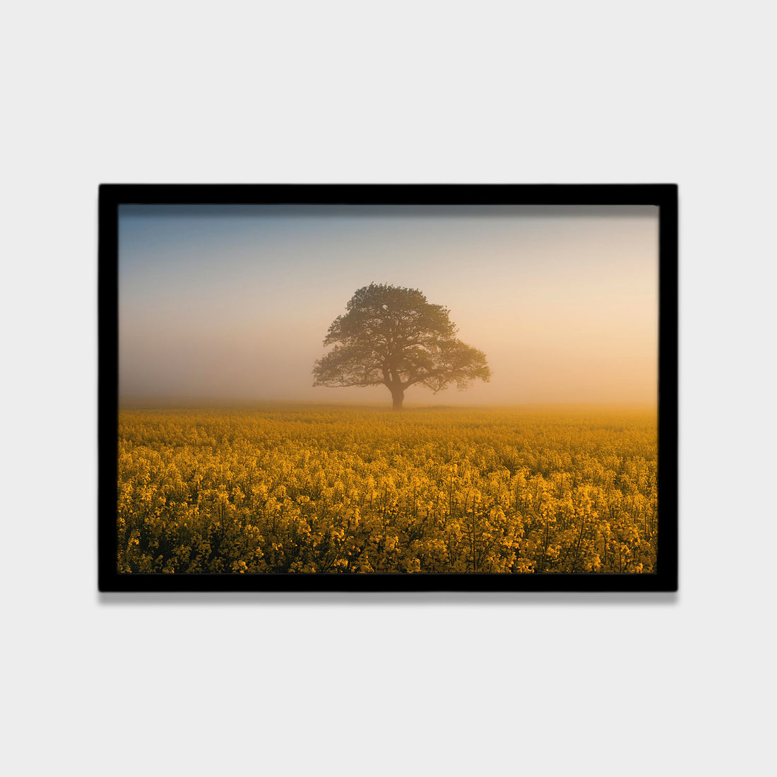 Golden Quiet