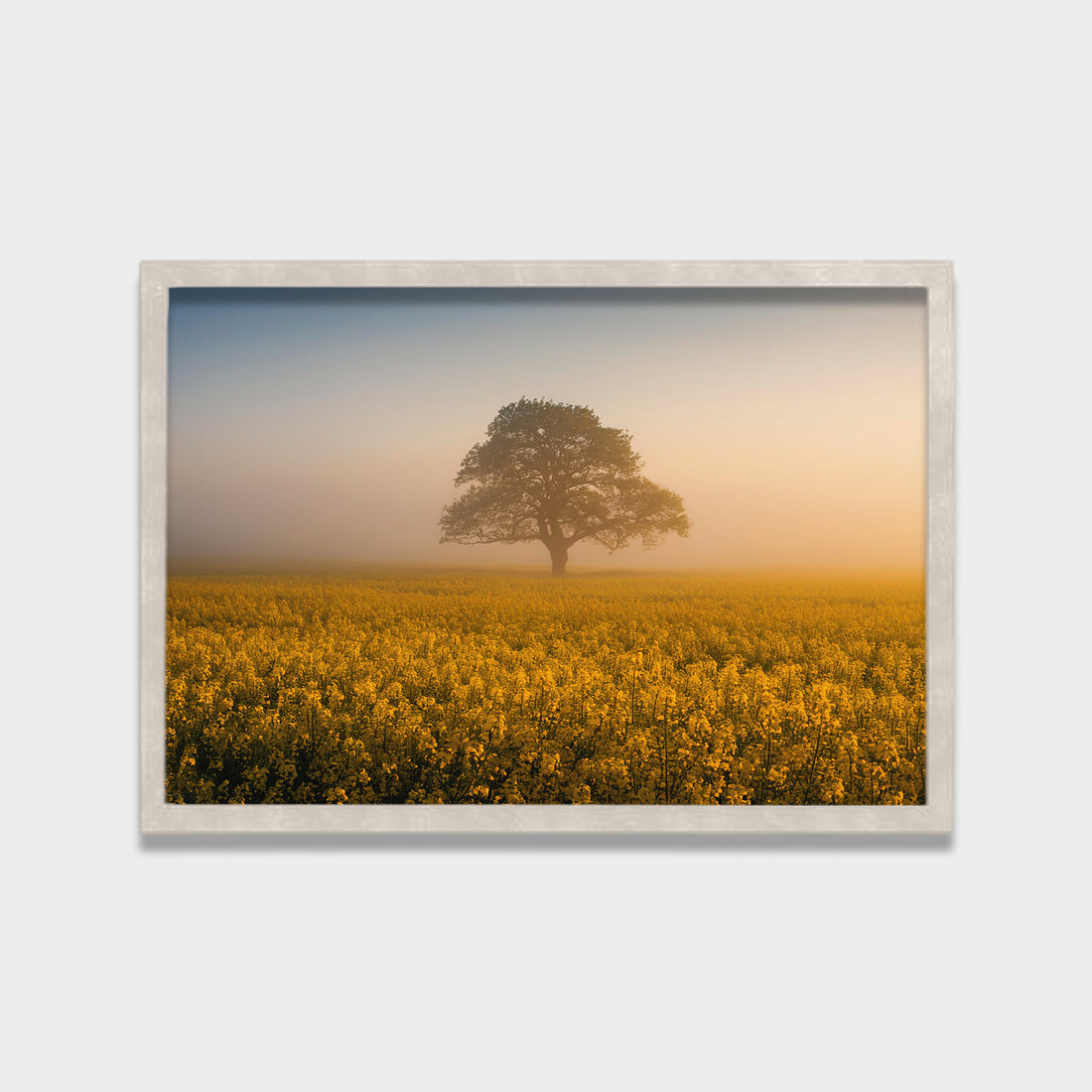 Golden Quiet