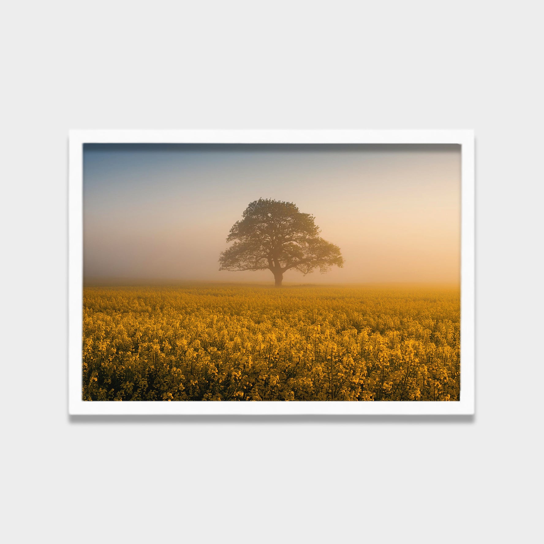 Golden Quiet