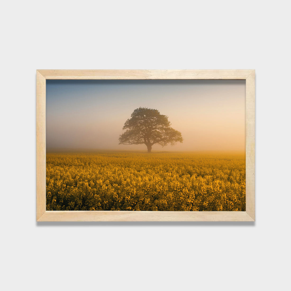 Golden Quiet