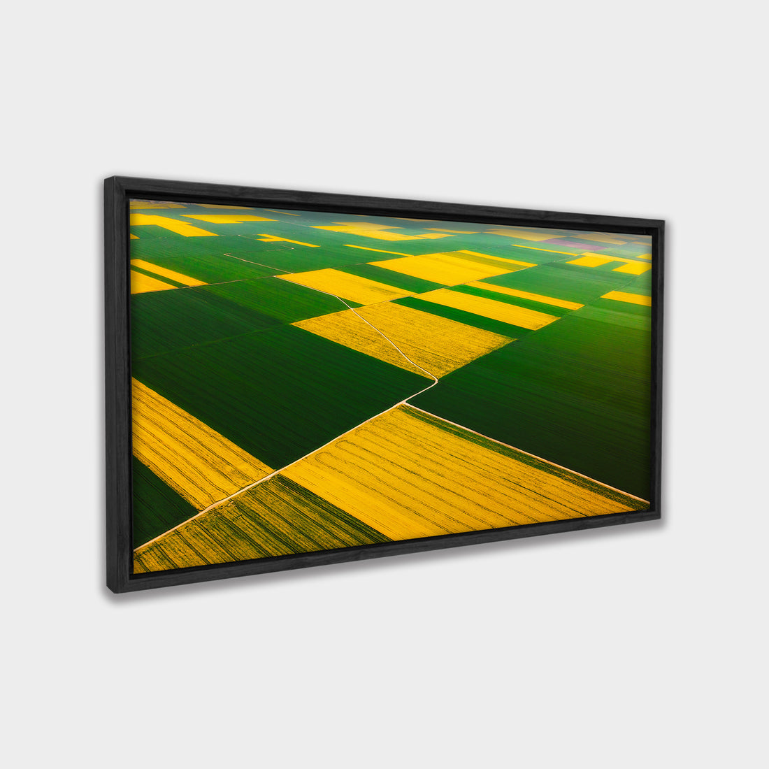 Patchwork Fields