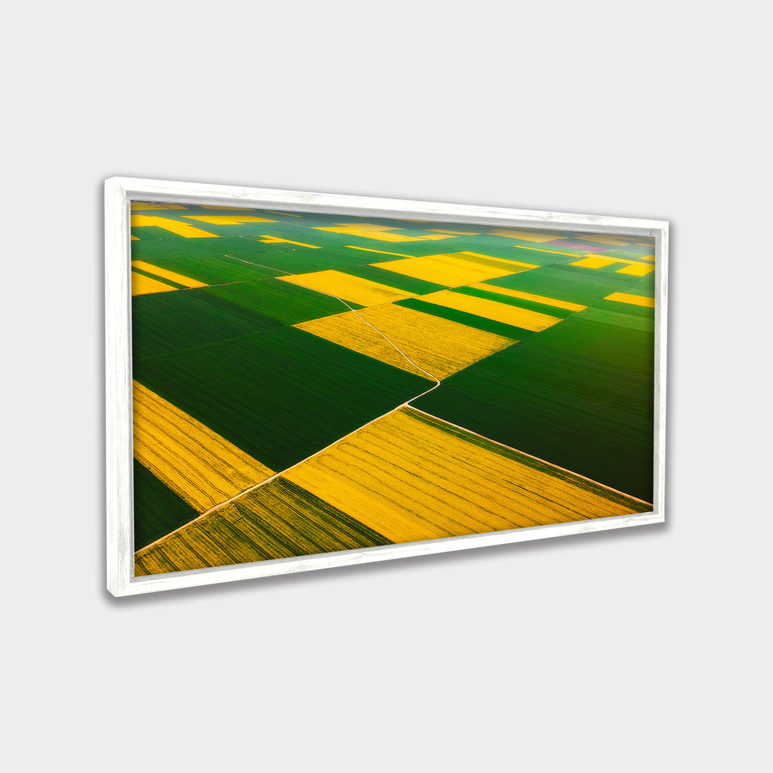 Patchwork Fields