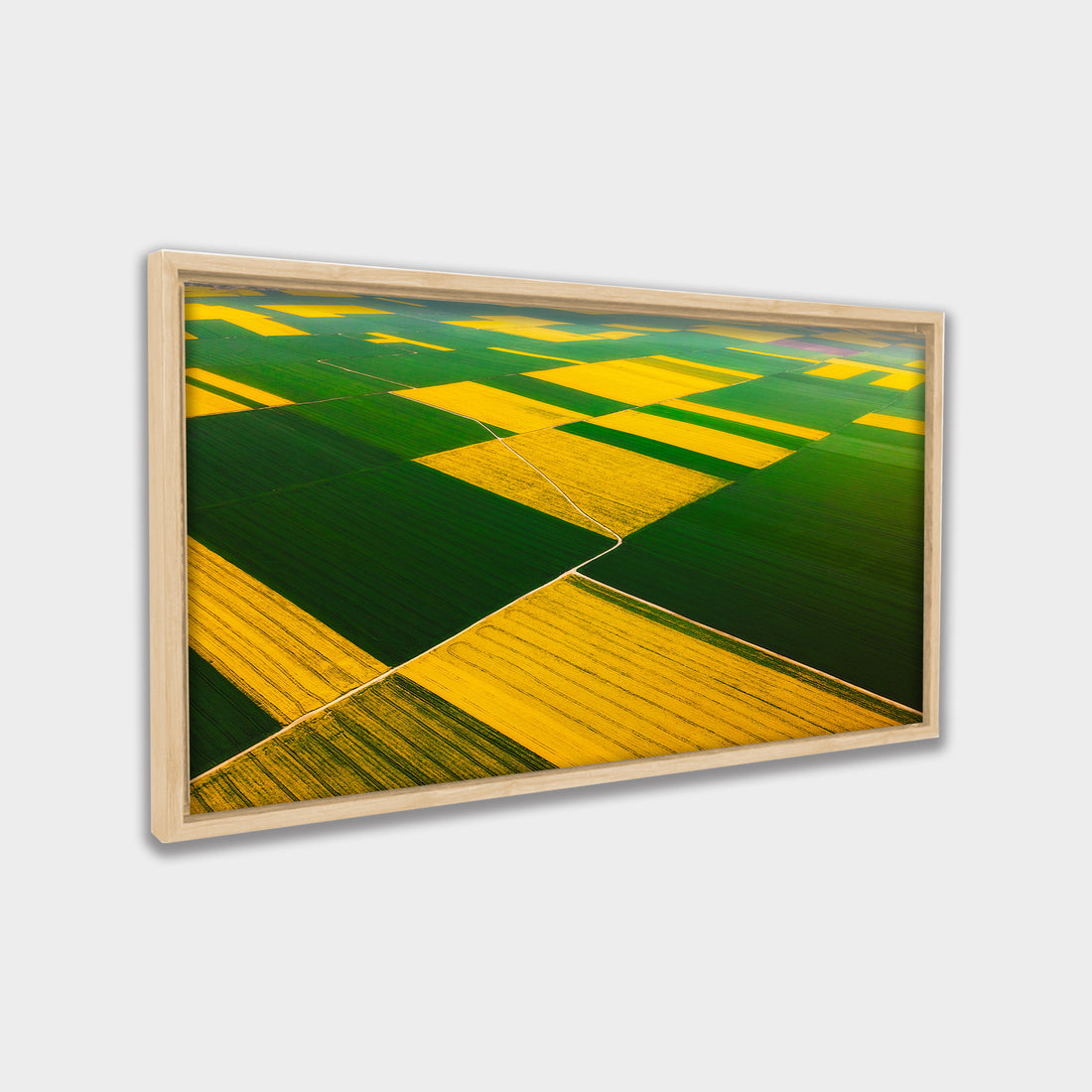 Patchwork Fields