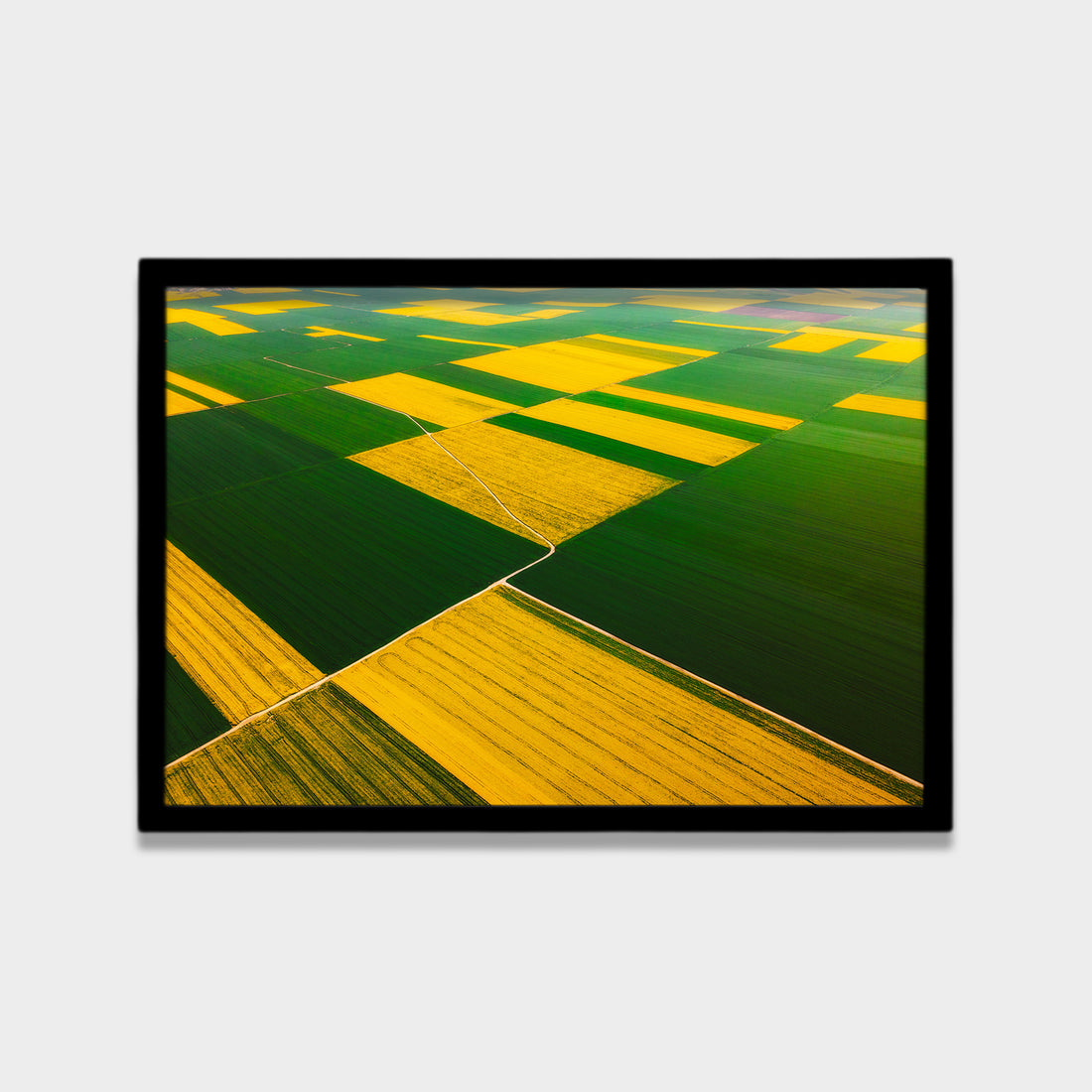 Patchwork Fields