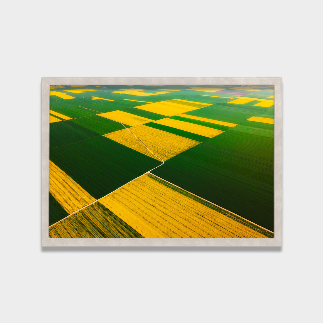 Patchwork Fields