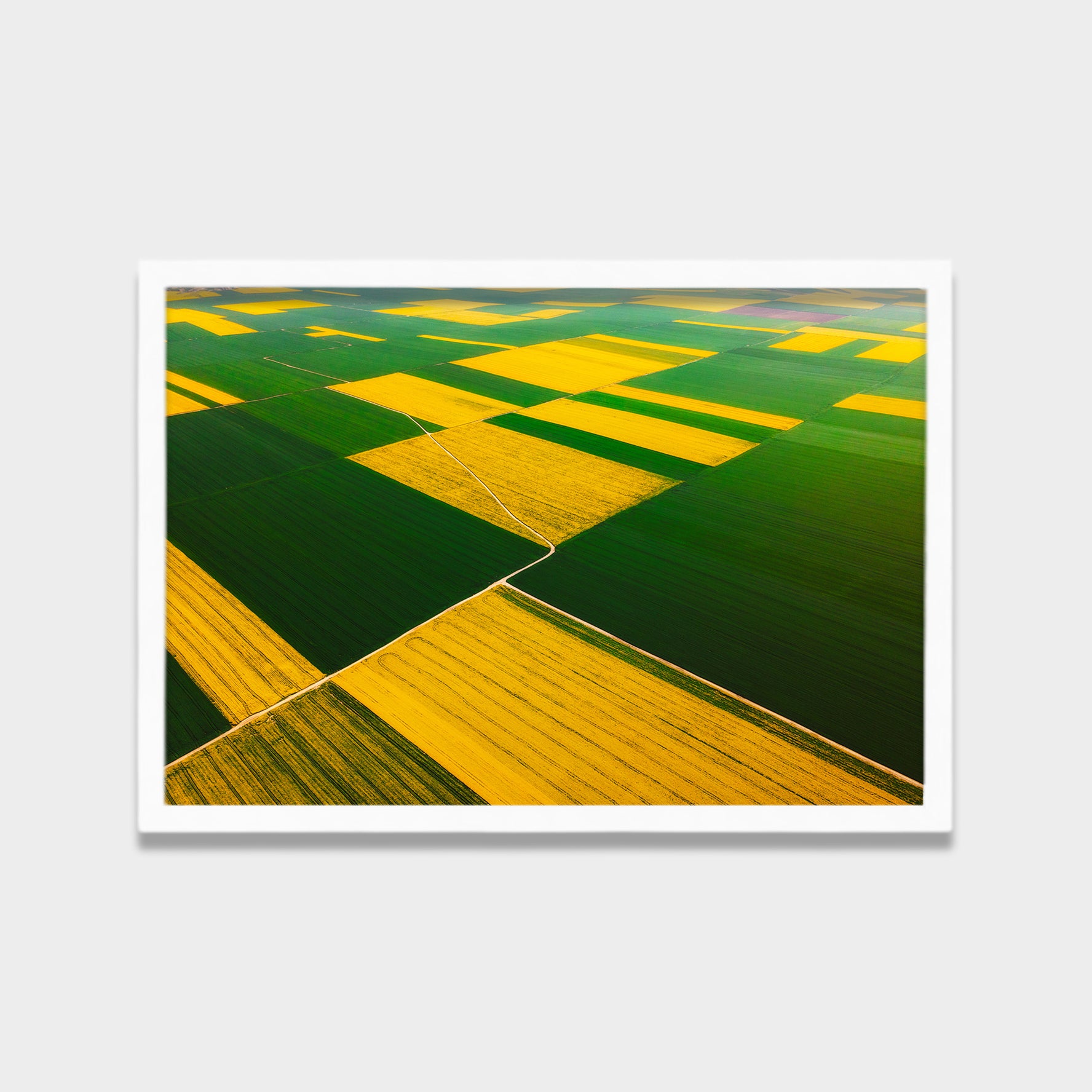Patchwork Fields