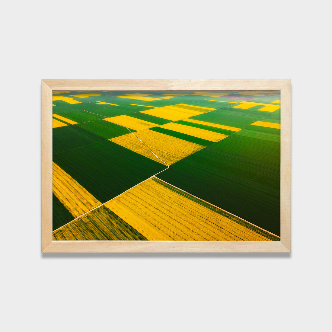 Patchwork Fields