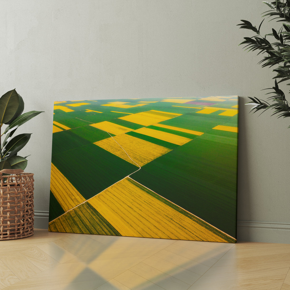 Patchwork Fields