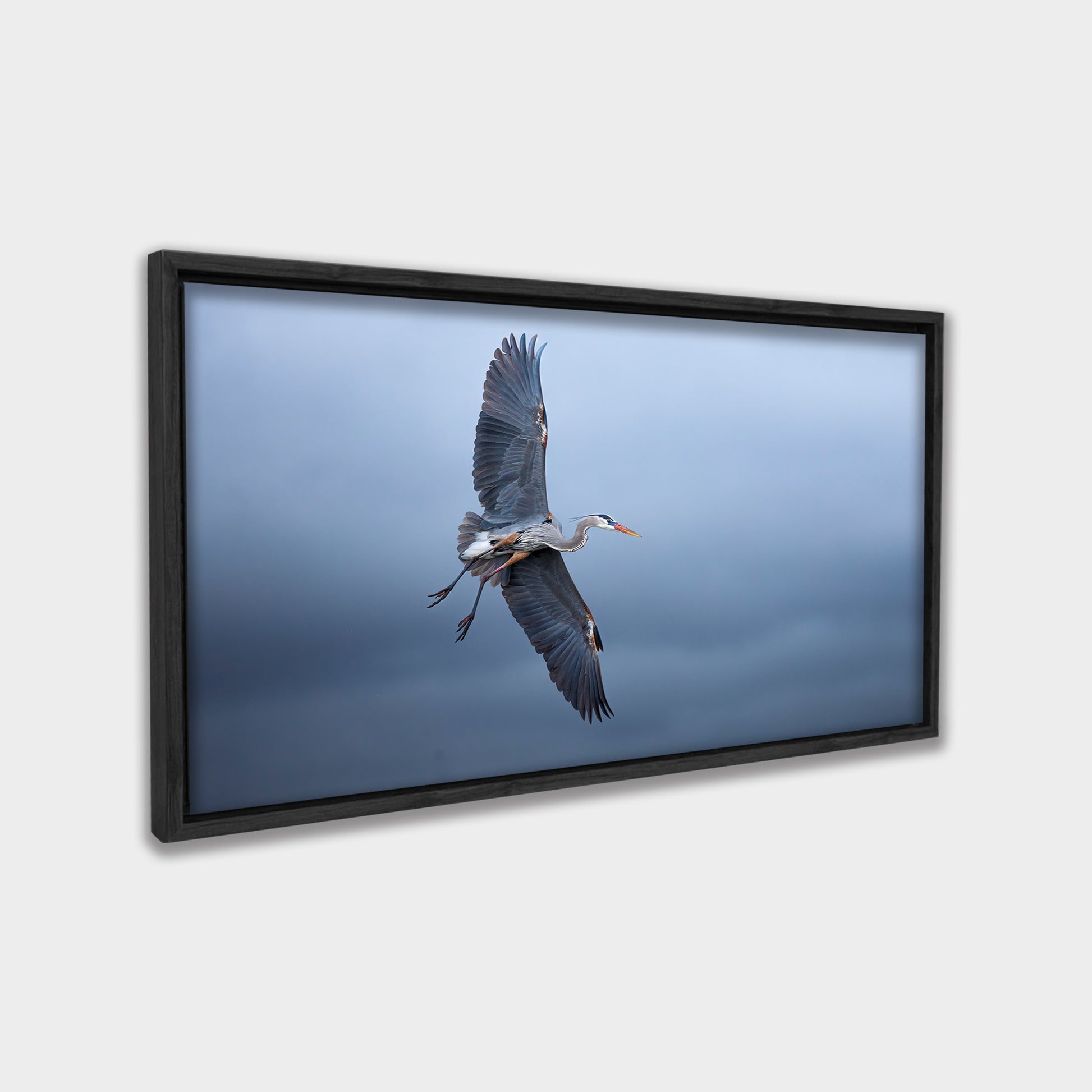 Silent Glide animals canvas wall art by Anantkala