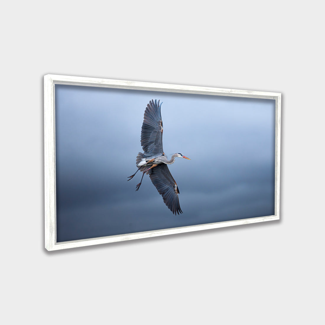 Silent Glide animals canvas wall art by Anantkala