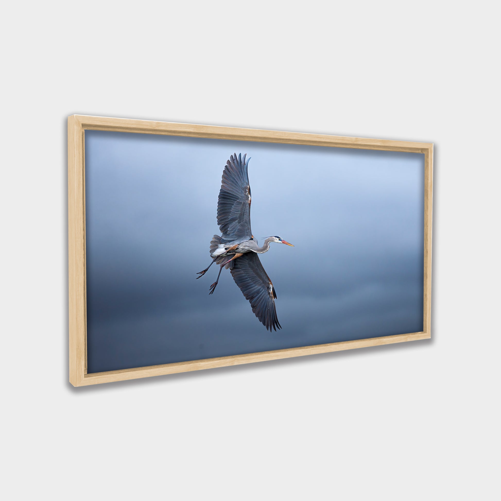 Silent Glide animals canvas wall art by Anantkala