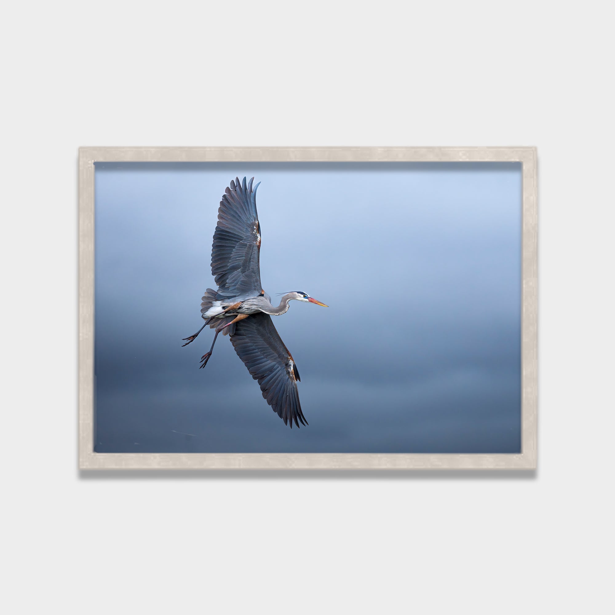 Silent Glide animals canvas wall art by Anantkala
