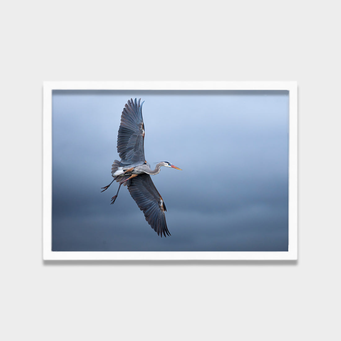 Silent Glide animals canvas wall art by Anantkala