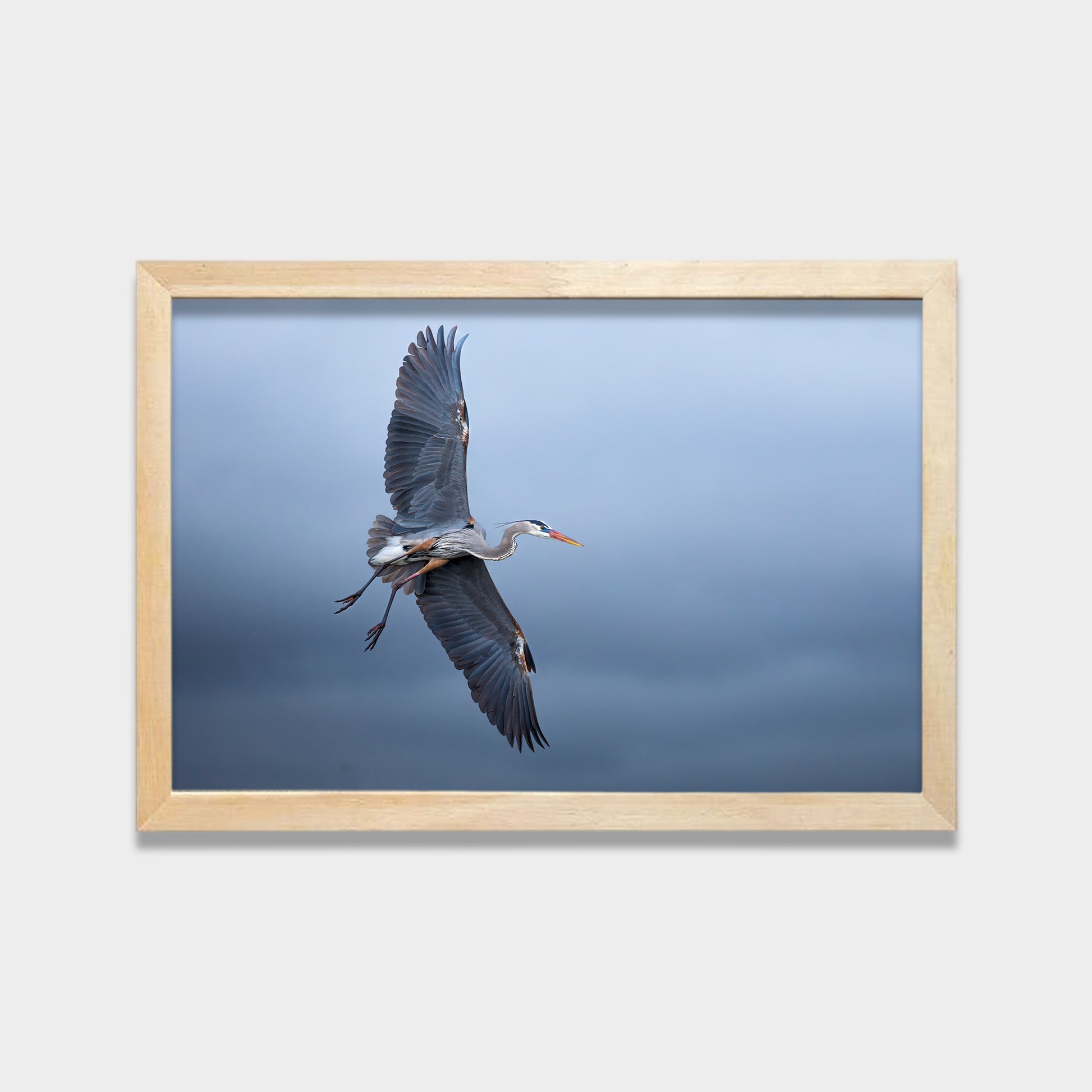 Silent Glide animals canvas wall art by Anantkala