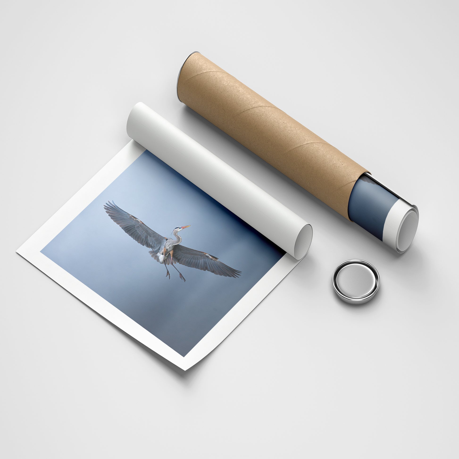 Silent Glide animals canvas wall art by Anantkala