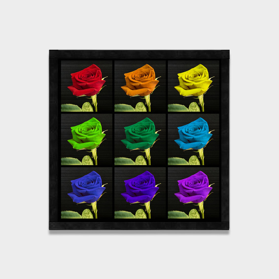Spectrum of bloom