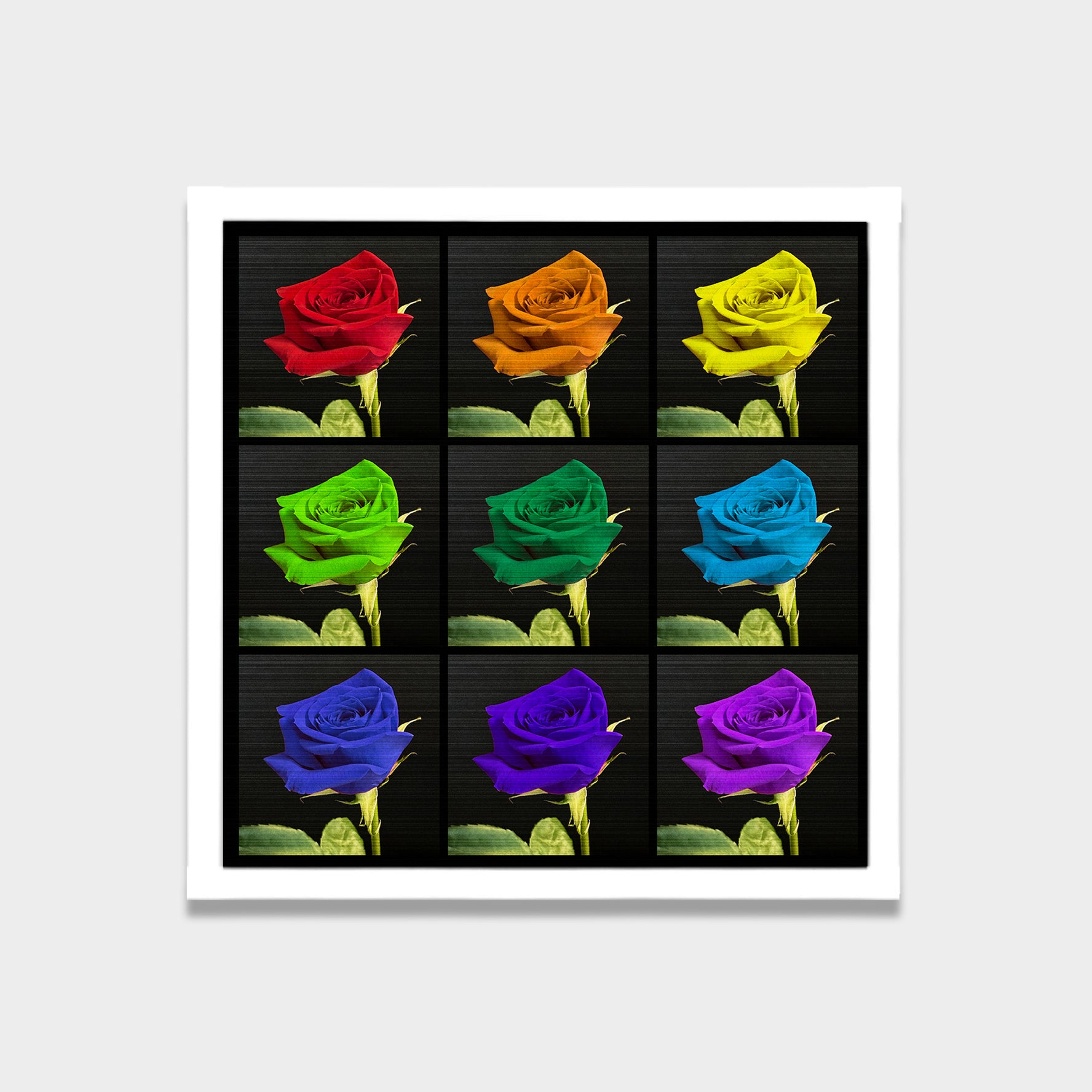 Spectrum of bloom