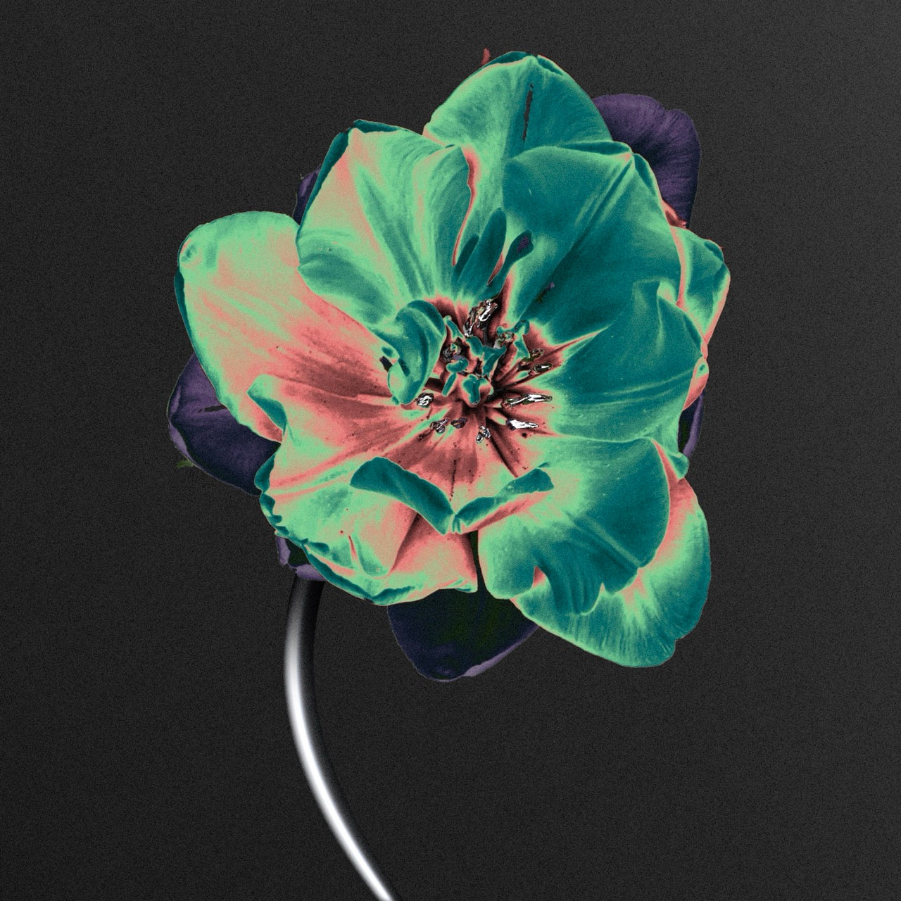 Artwork preview