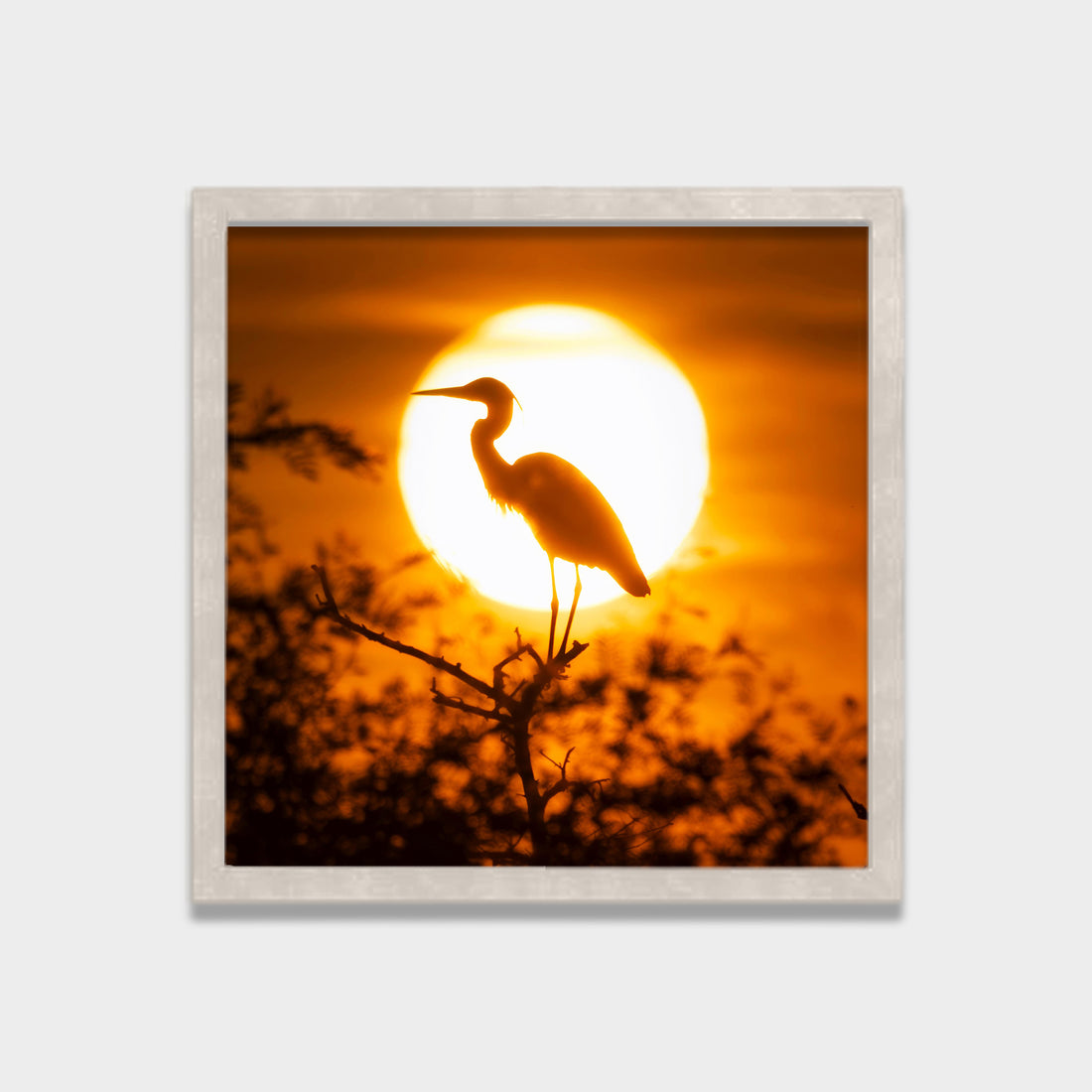 Golden Stillness
