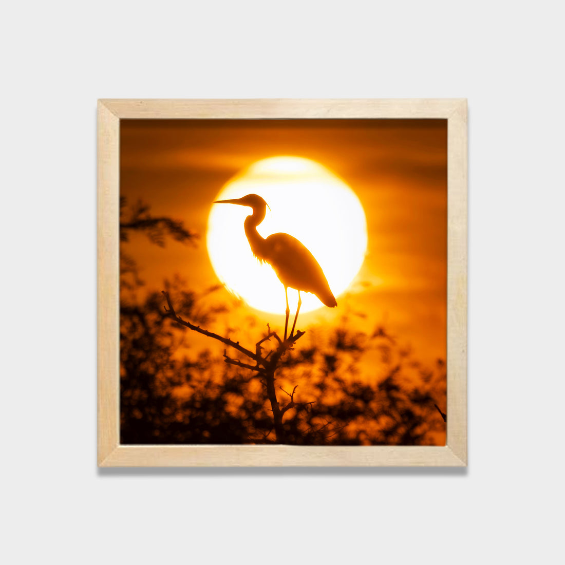 Golden Stillness