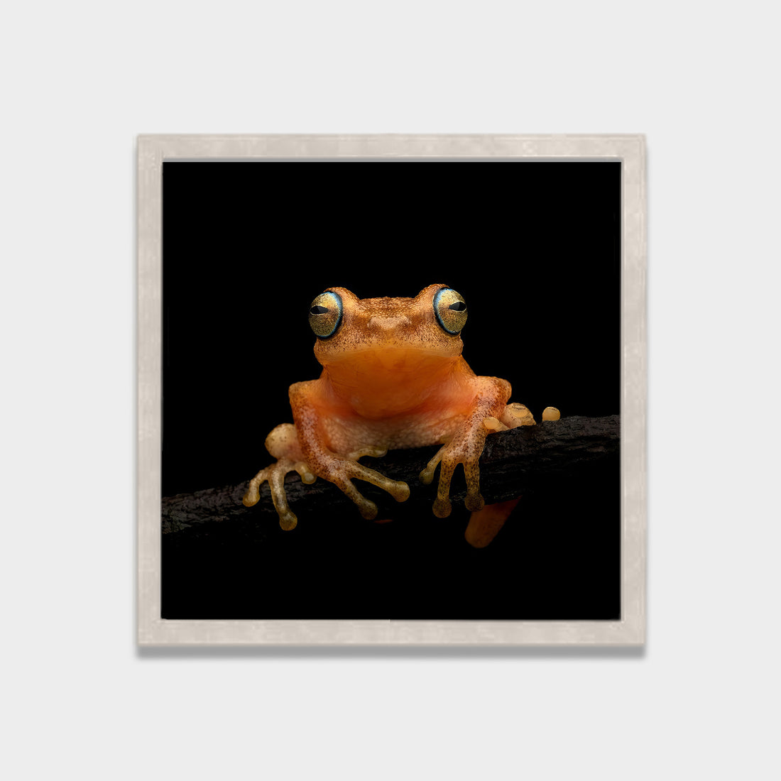 Quiet Watcher
