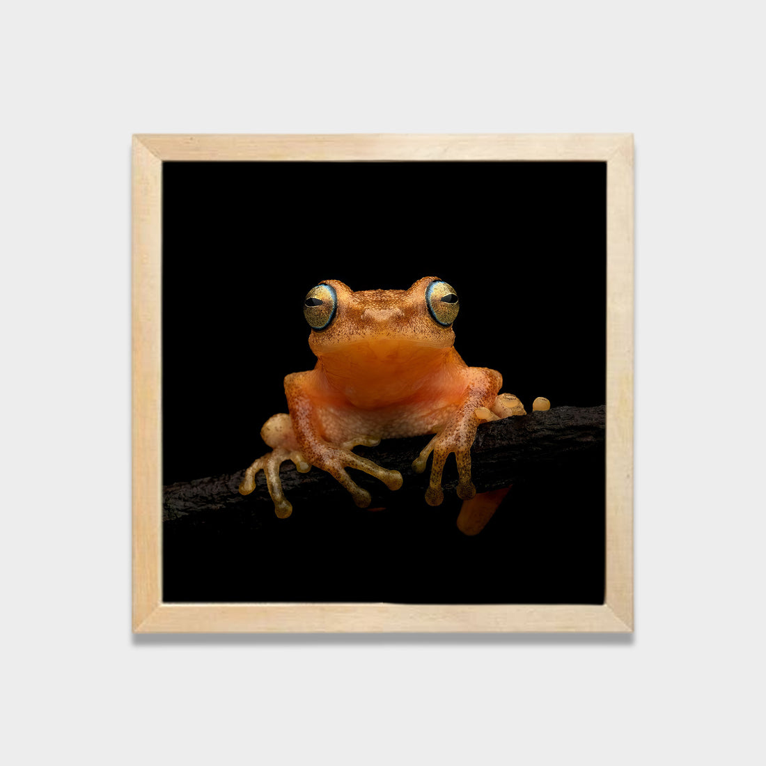 Quiet Watcher