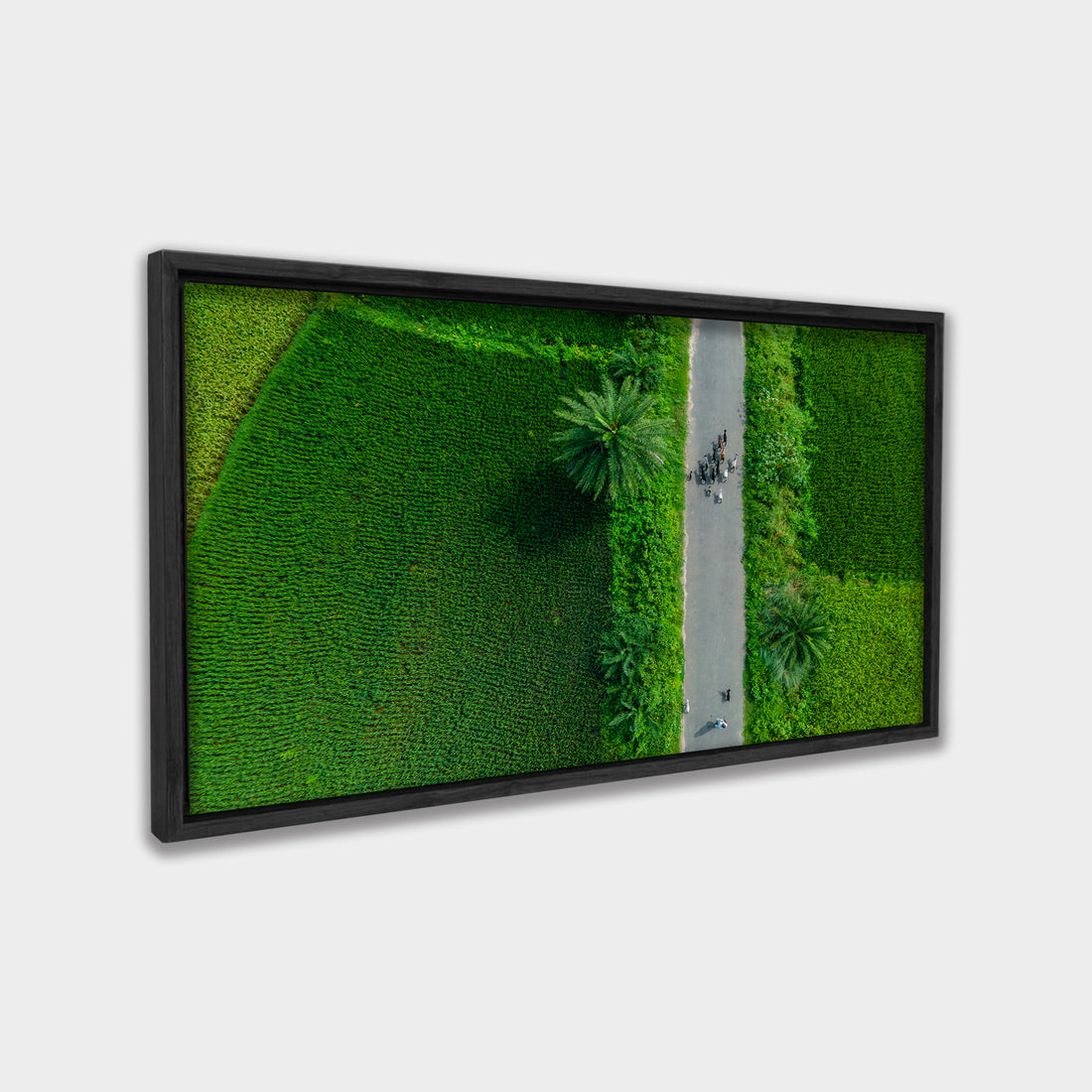 Green Passage