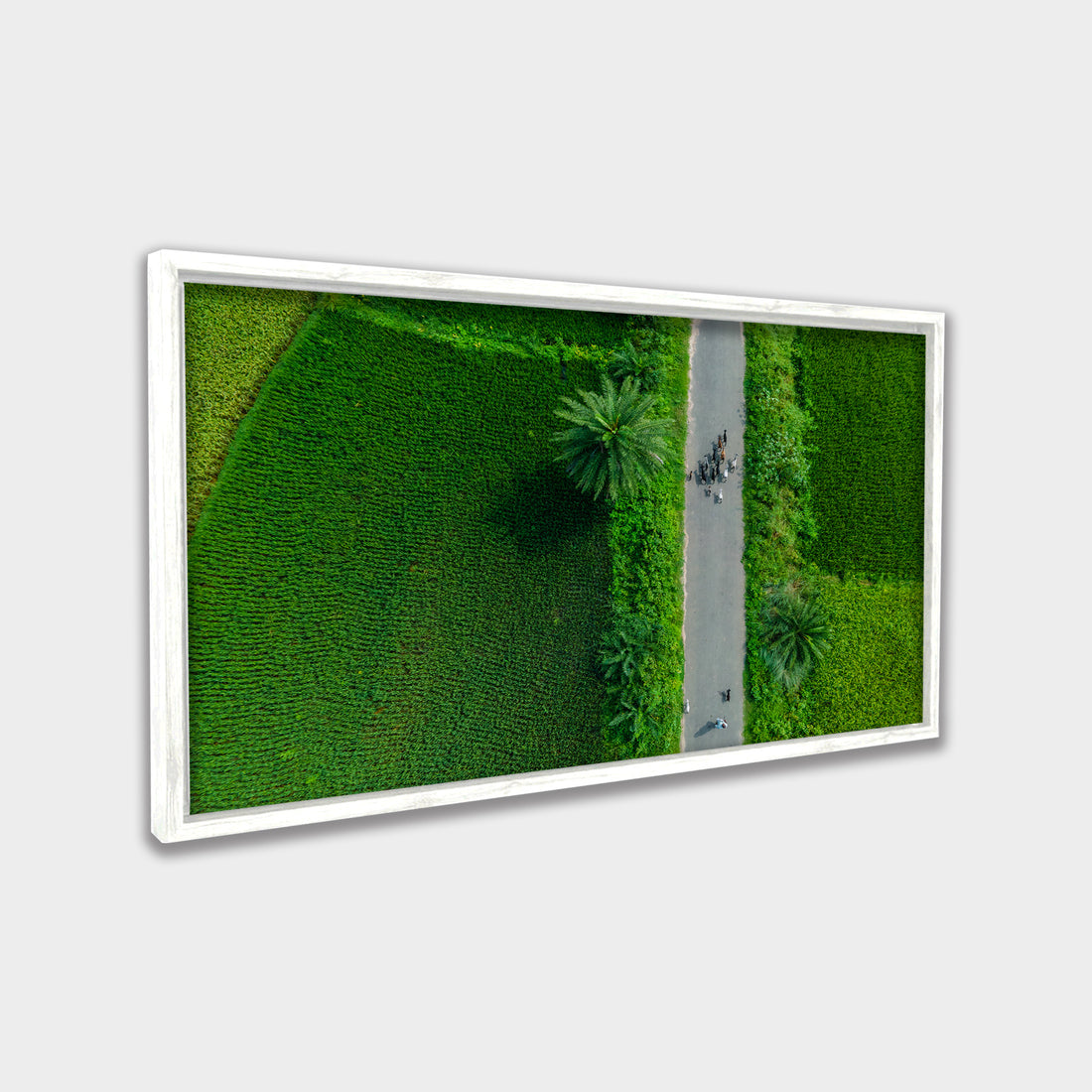 Green Passage