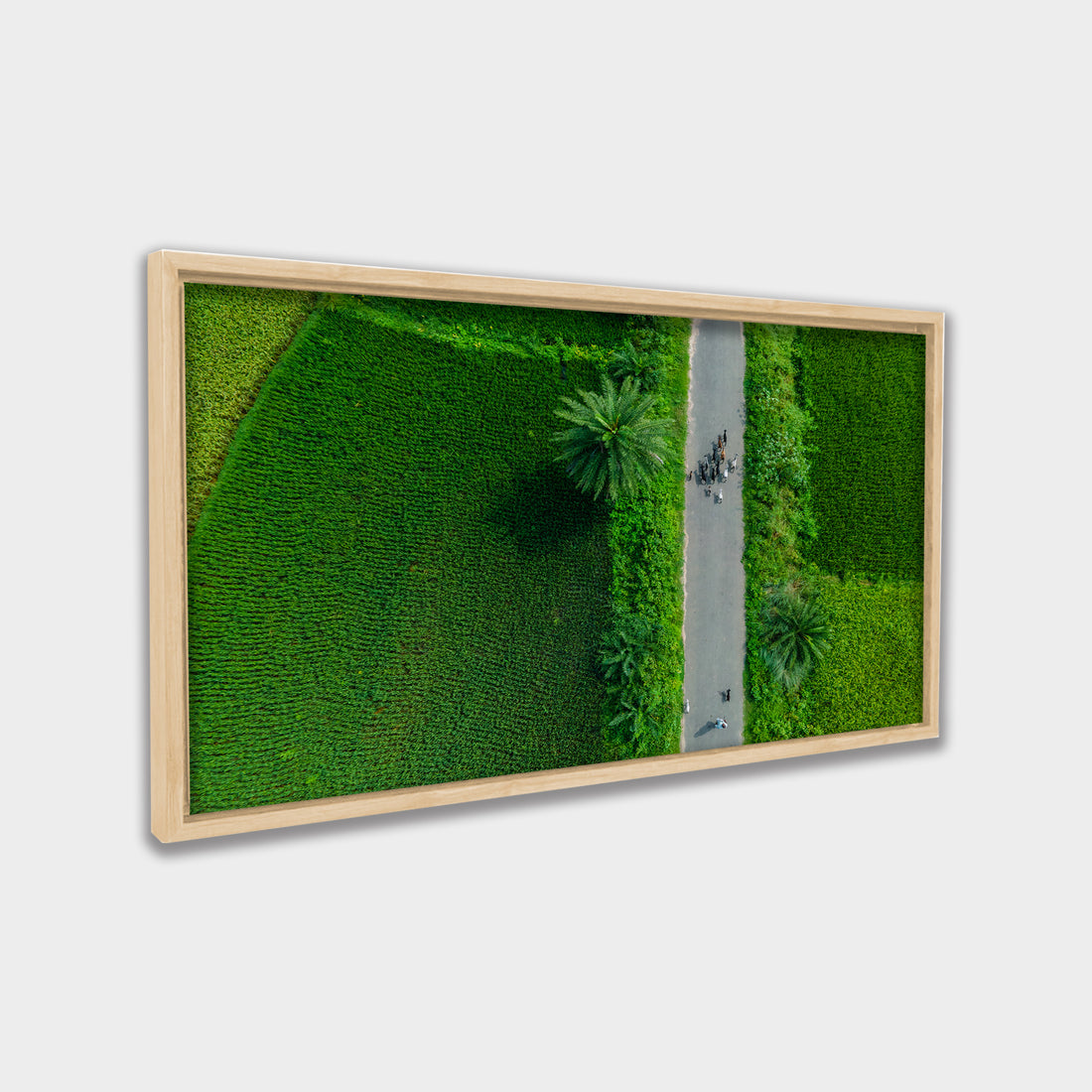 Green Passage