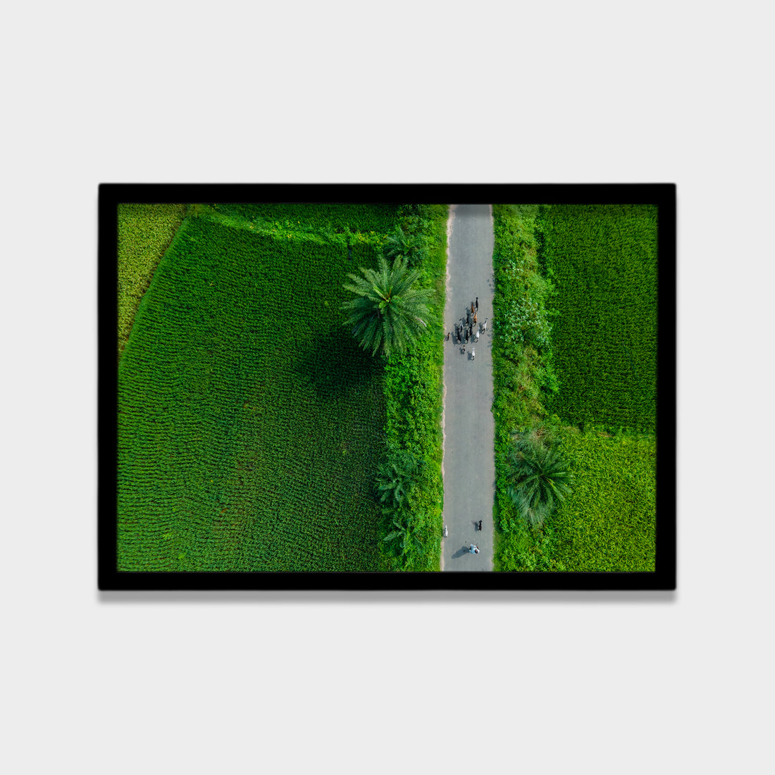 Green Passage