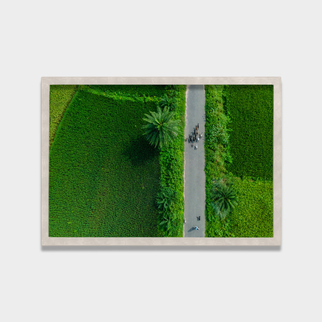 Green Passage