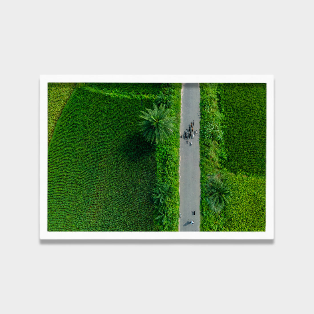 Green Passage
