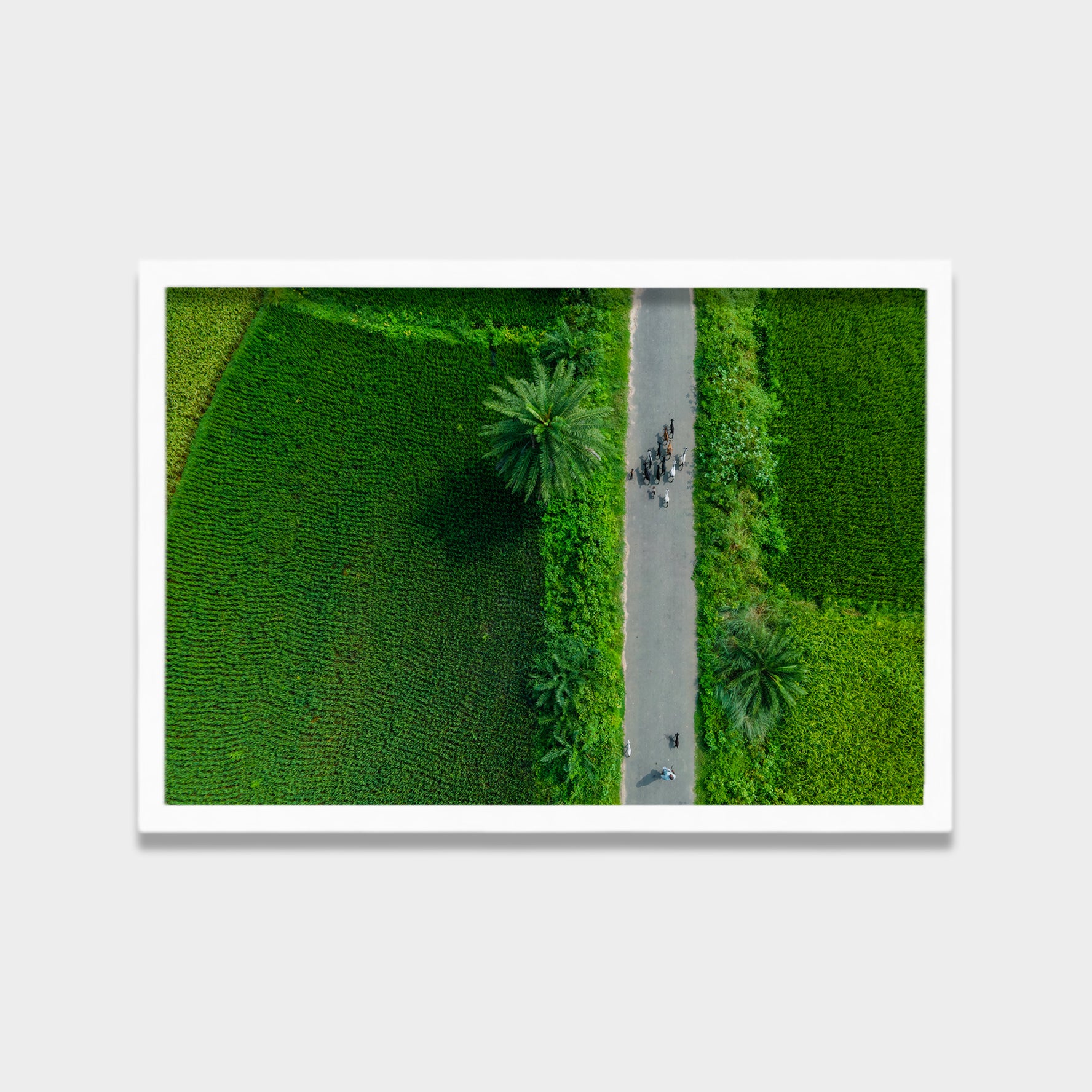 Green Passage