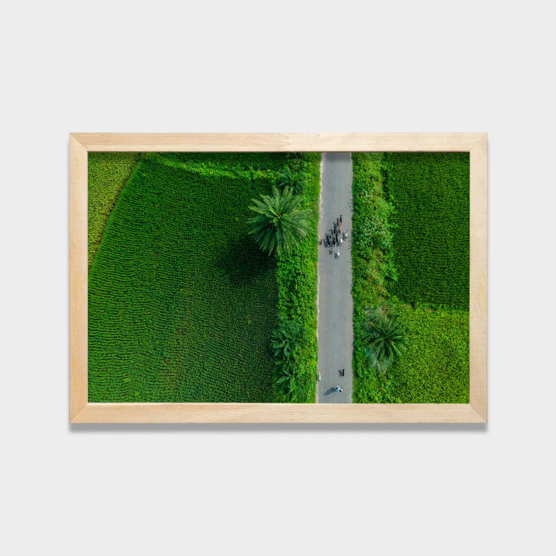 Green Passage