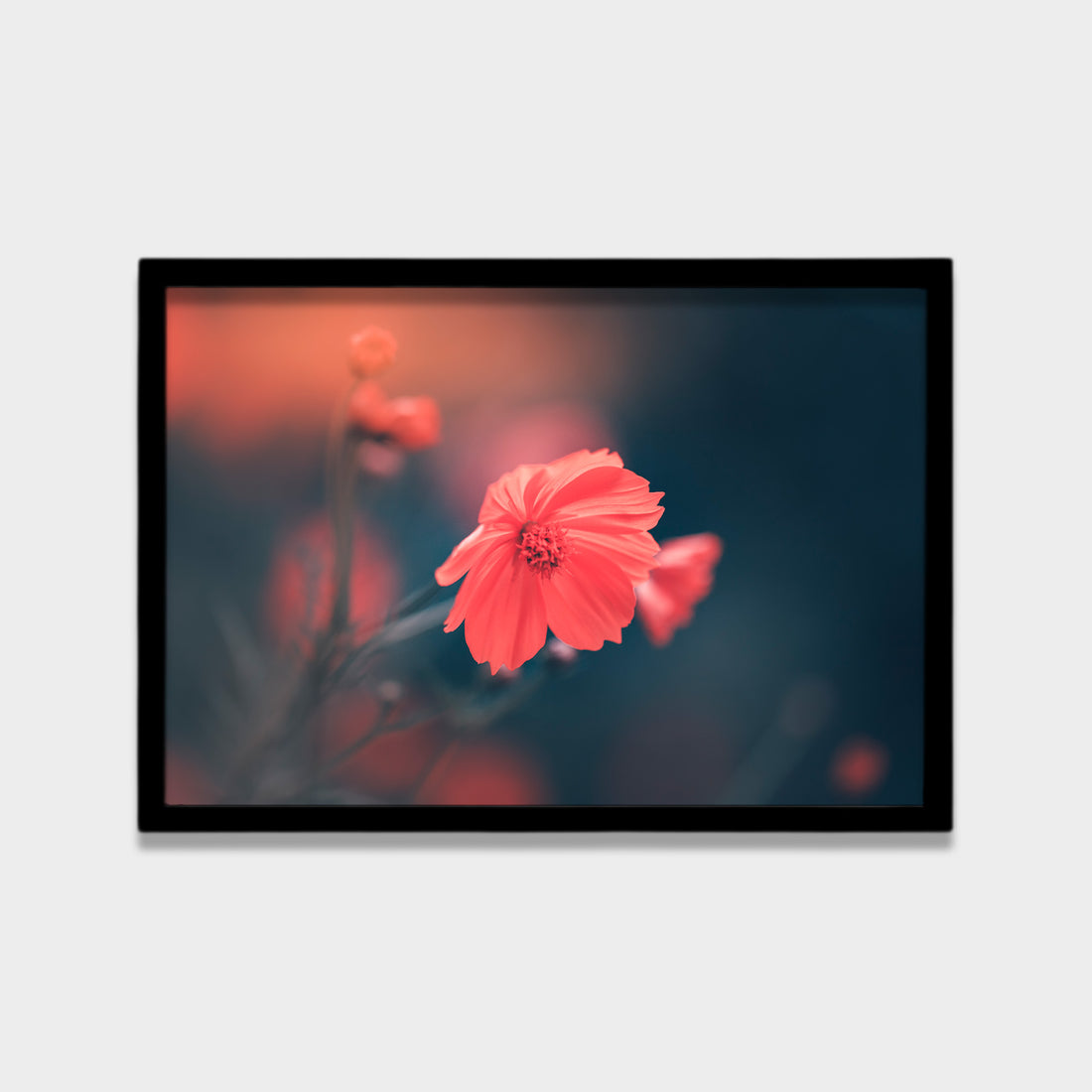 Soft Bloom