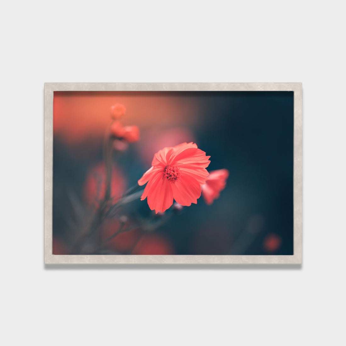 Soft Bloom