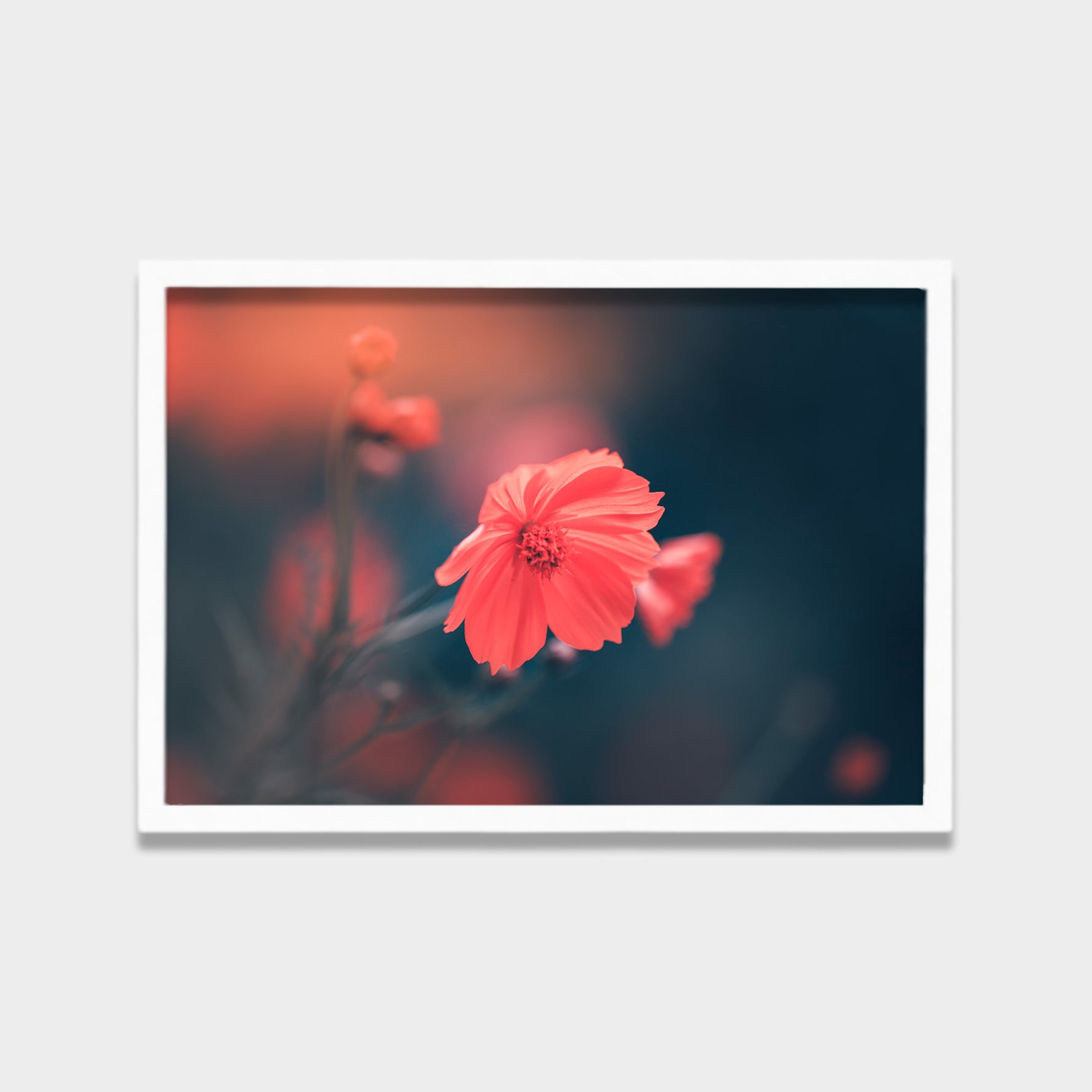 Soft Bloom