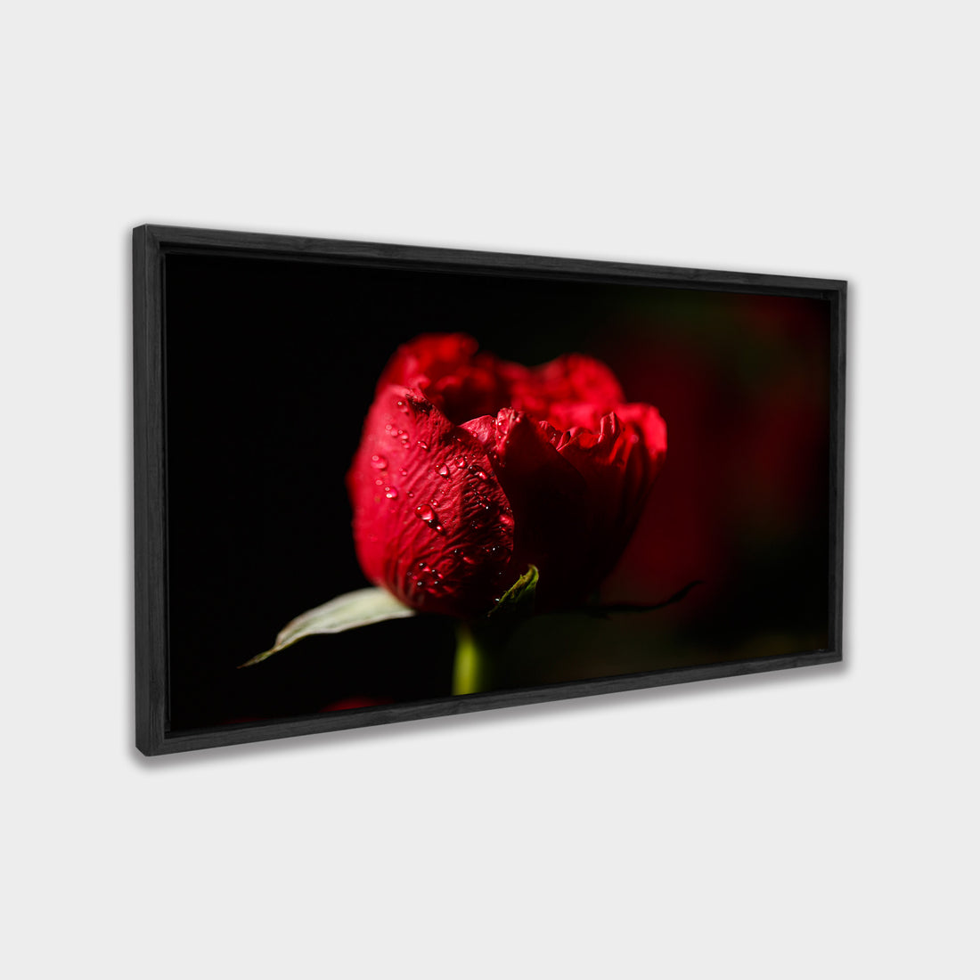 Crimson Bloom