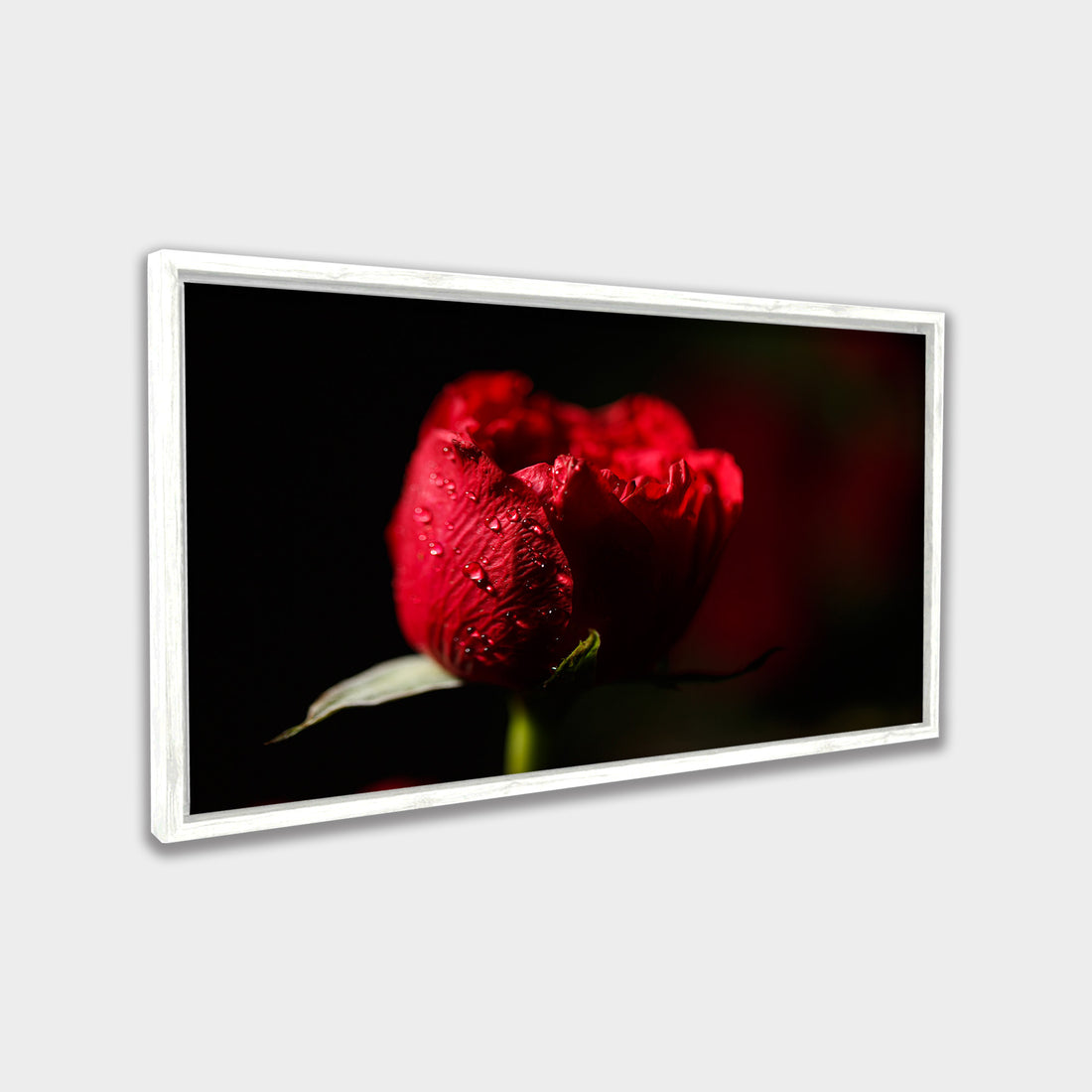 Crimson Bloom