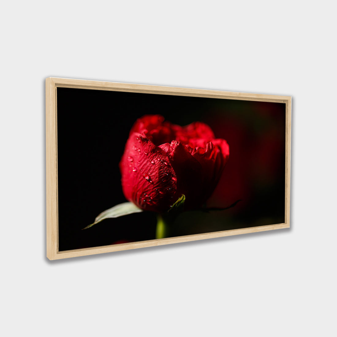 Crimson Bloom