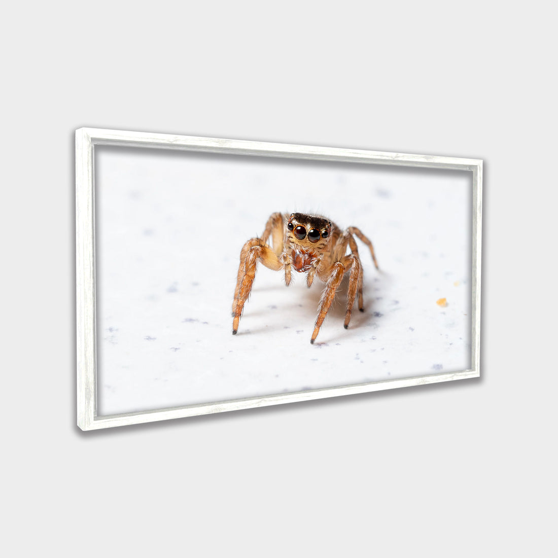 Tiny Watcher
