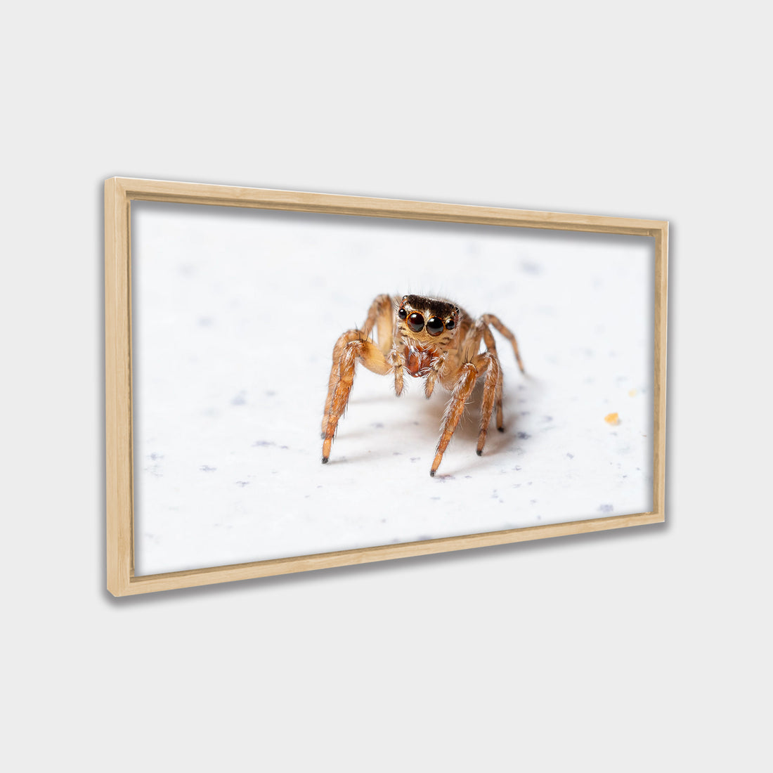 Tiny Watcher