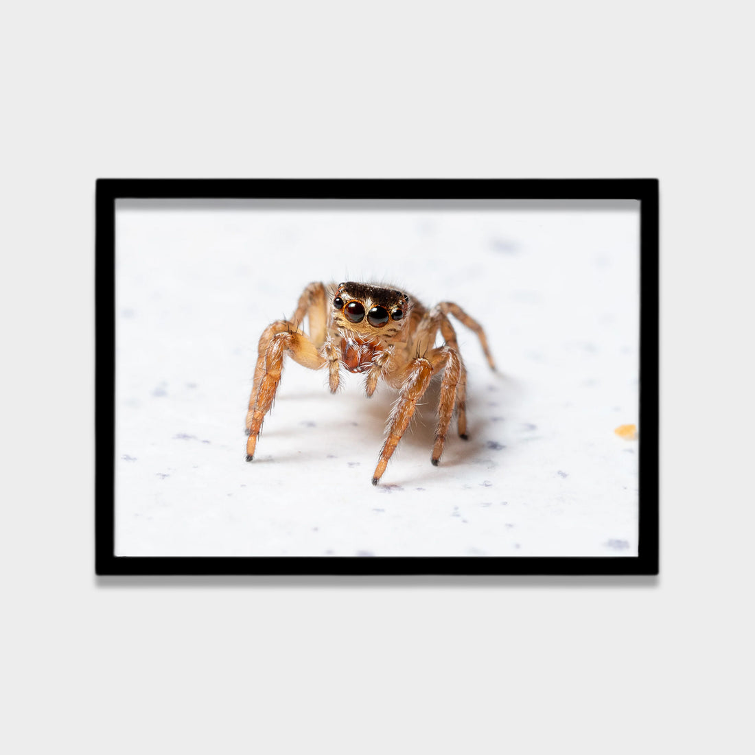 Tiny Watcher