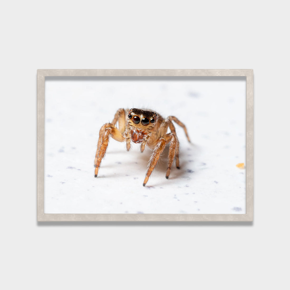 Tiny Watcher