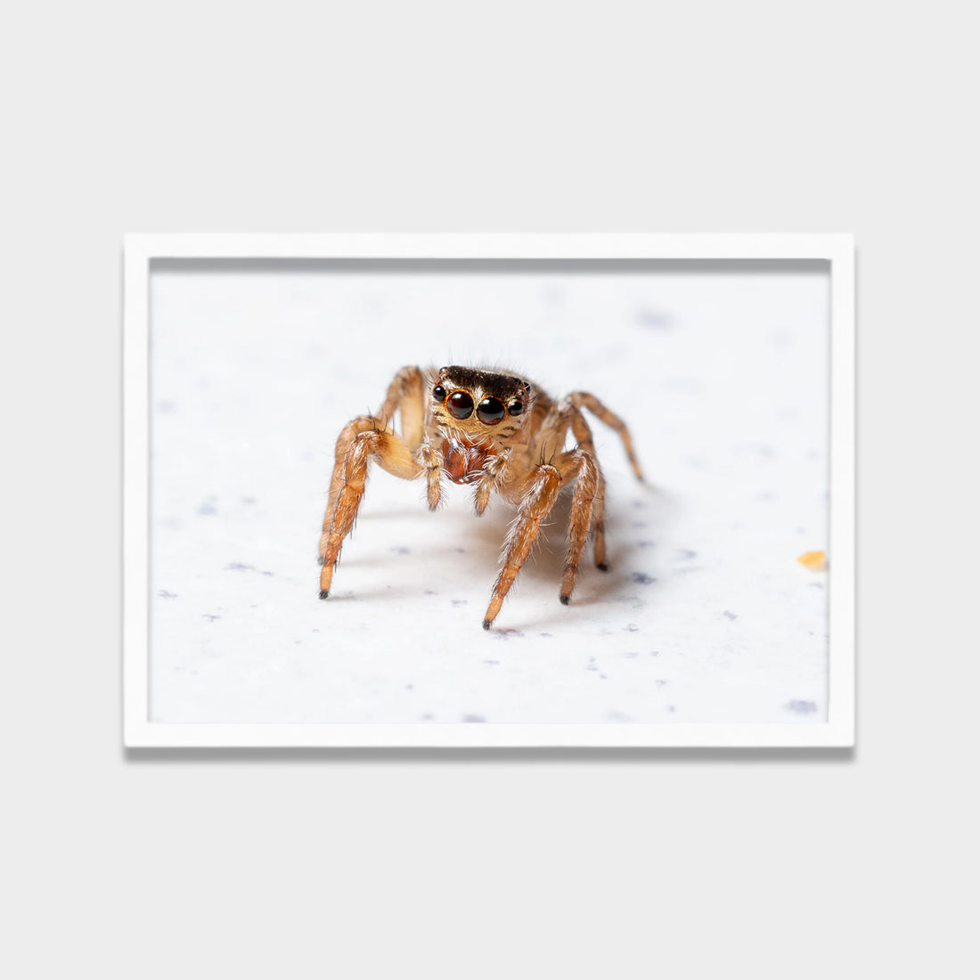 Tiny Watcher