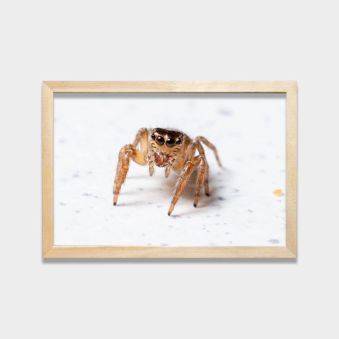 Tiny Watcher