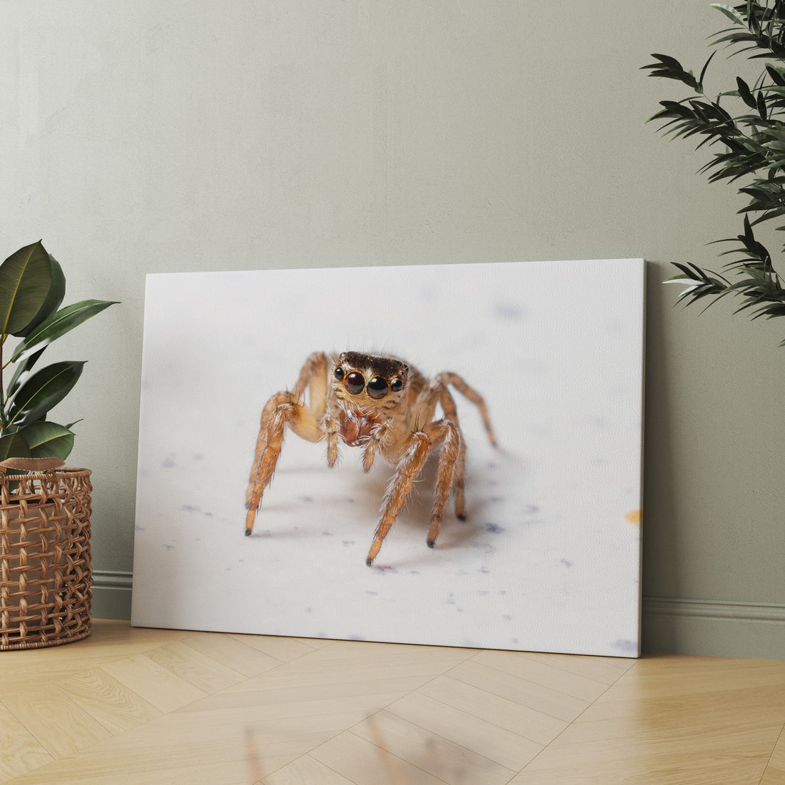 Tiny Watcher